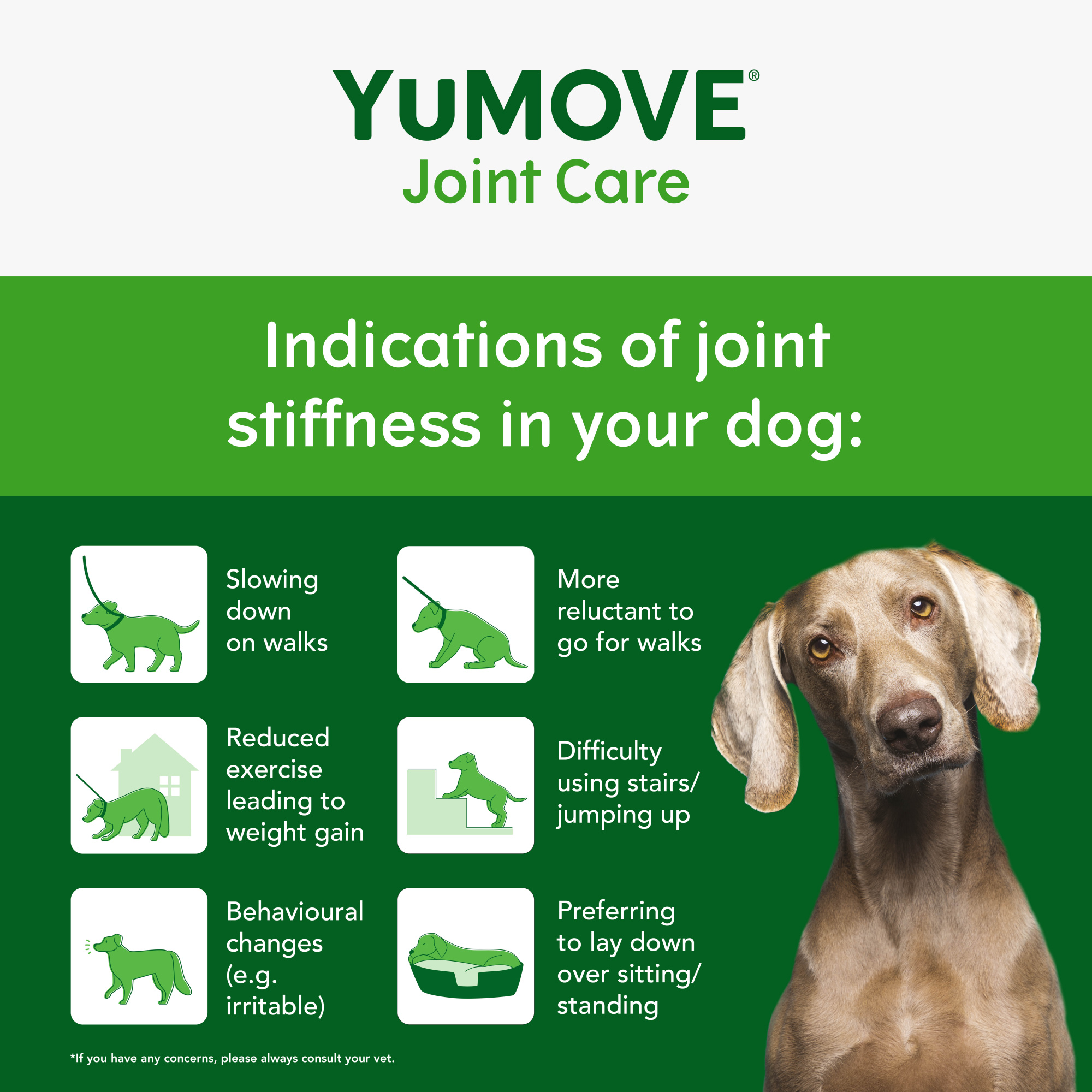 YuMOVE Joint Care Daily Bites Adult Dog 60 bites