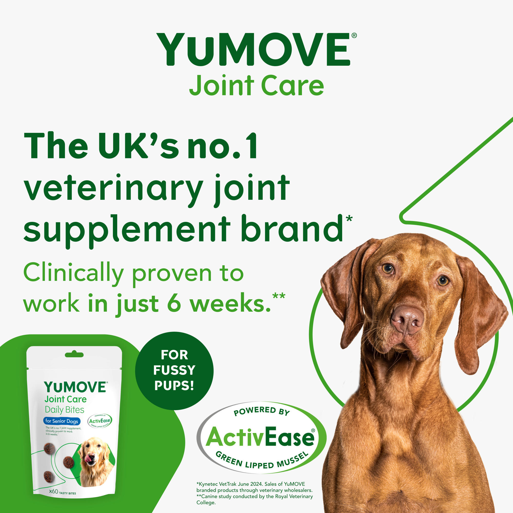 YuMOVE Joint Care Daily Bites Senior Dog 60 bites