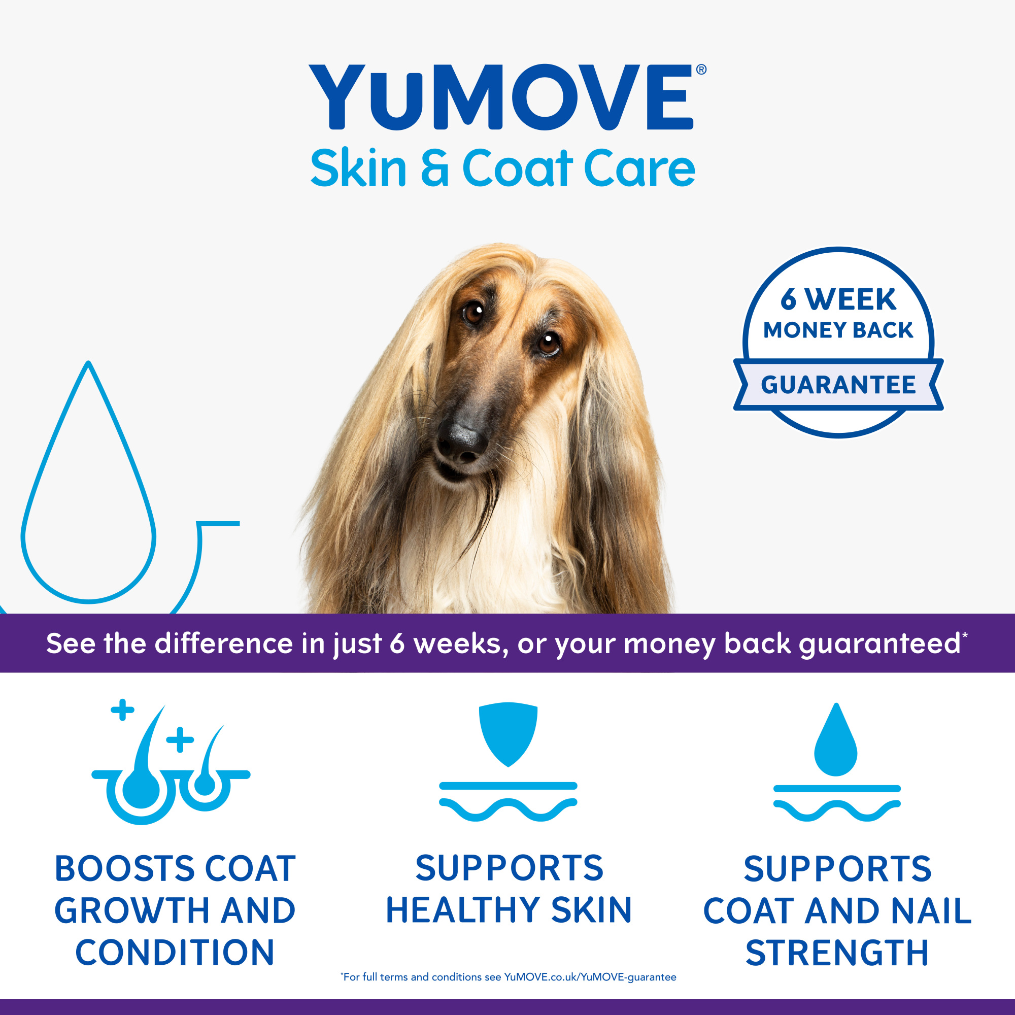 YuMOVE Skin and Coat Care Boost Dog 180 scoops