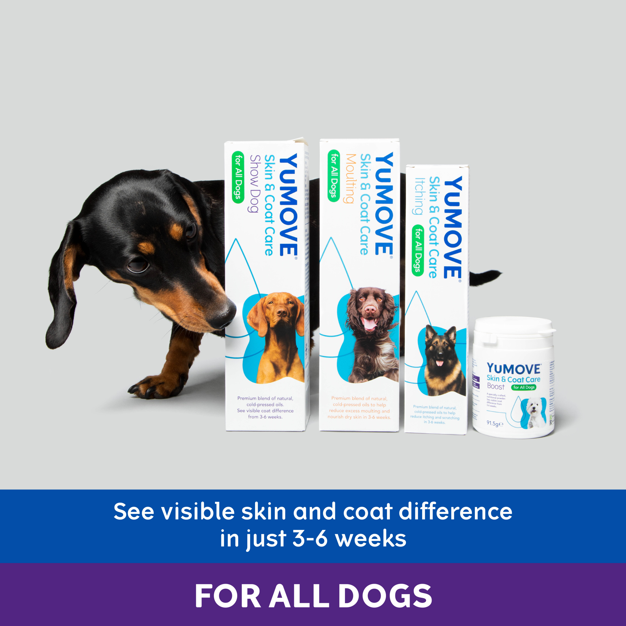 YuMOVE Skin and Coat Care Boost Dog 180 scoops