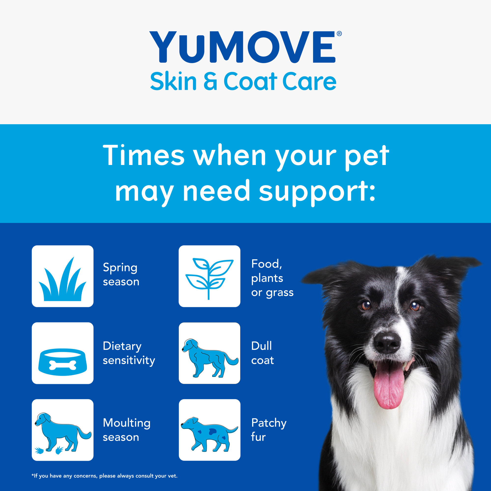 YuMOVE Skin and Coat Care Boost Dog 180 scoops