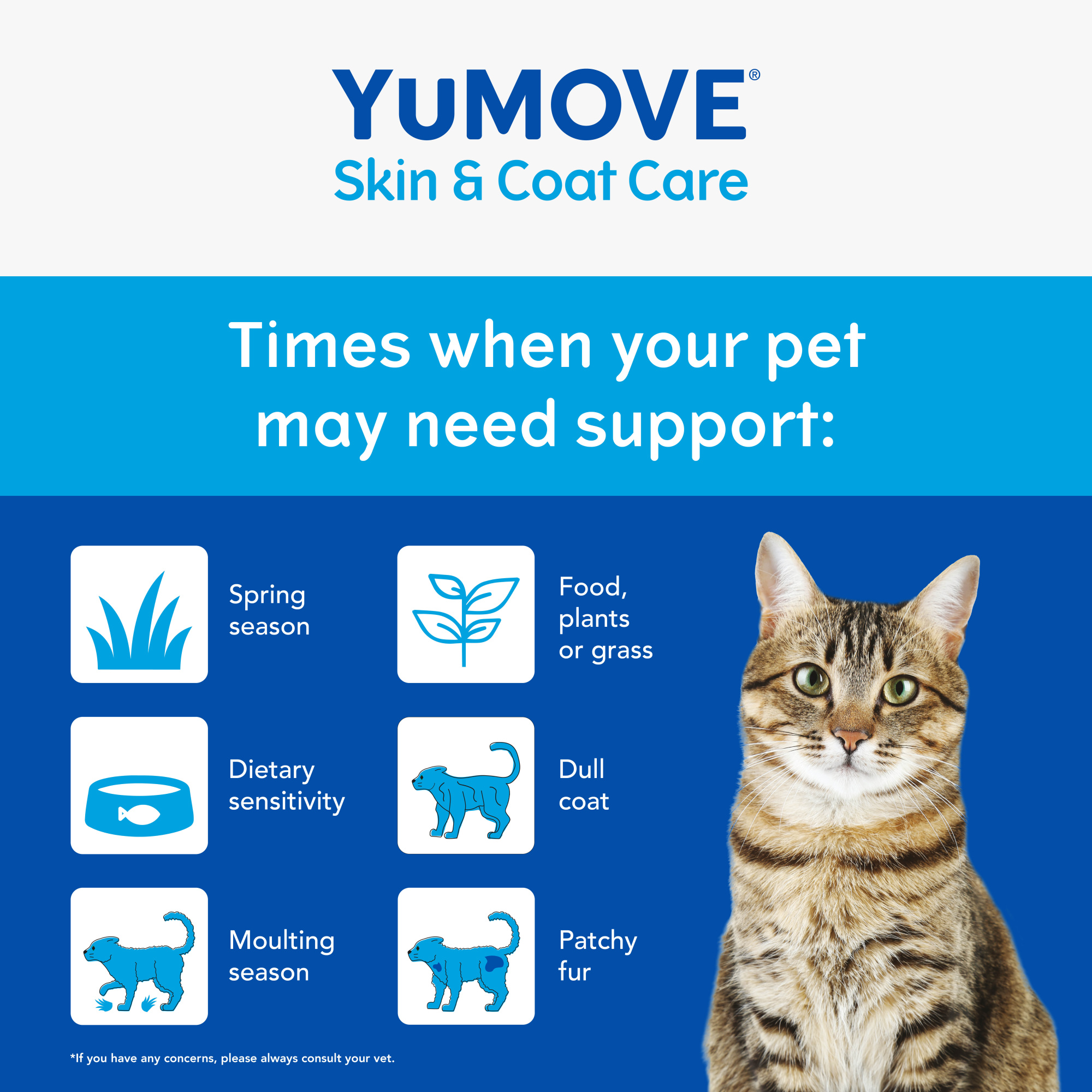 YuMOVE Skin and Coat Care Moulting Cat 50ML