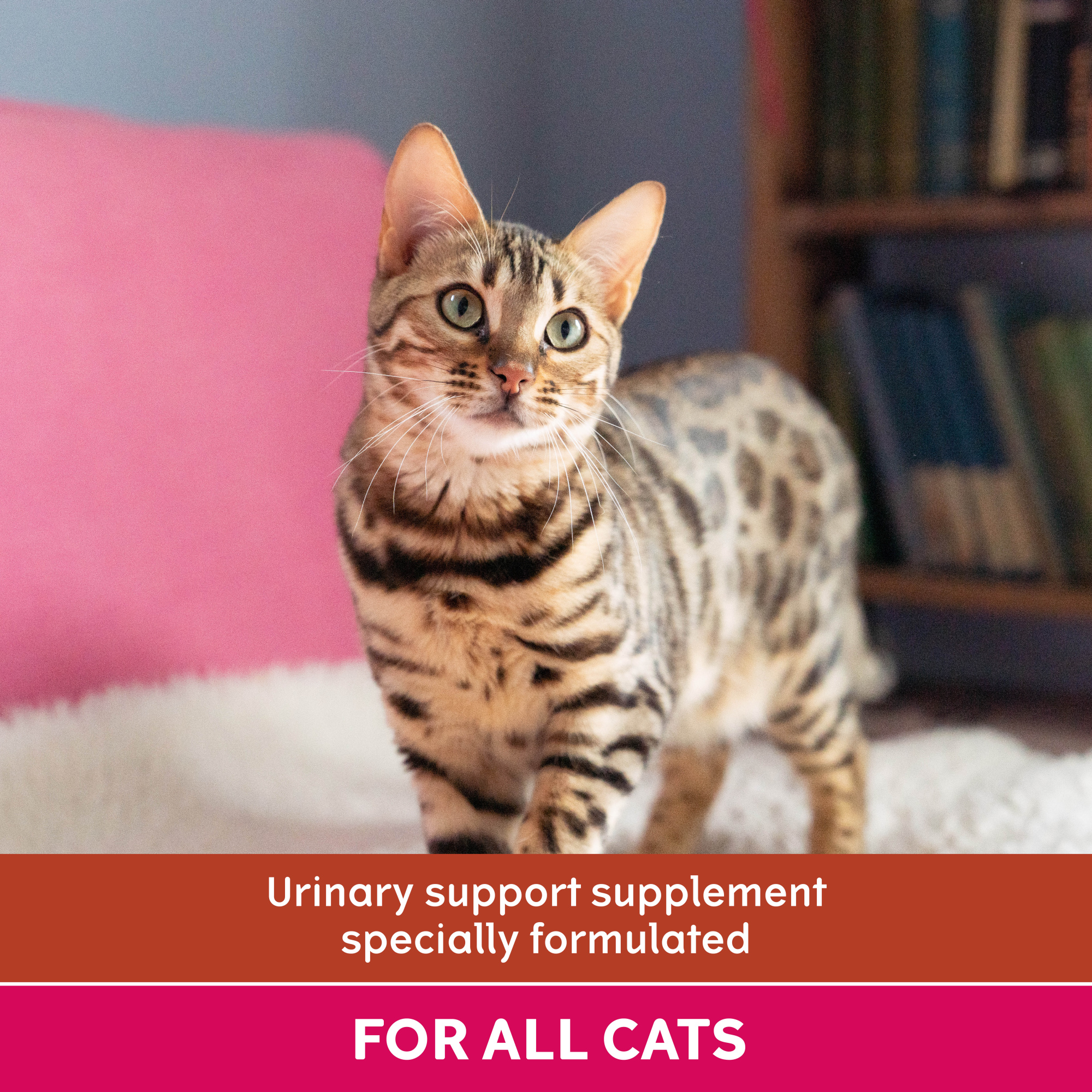 YuMOVE Urinary Care for Cats 30 Capsules