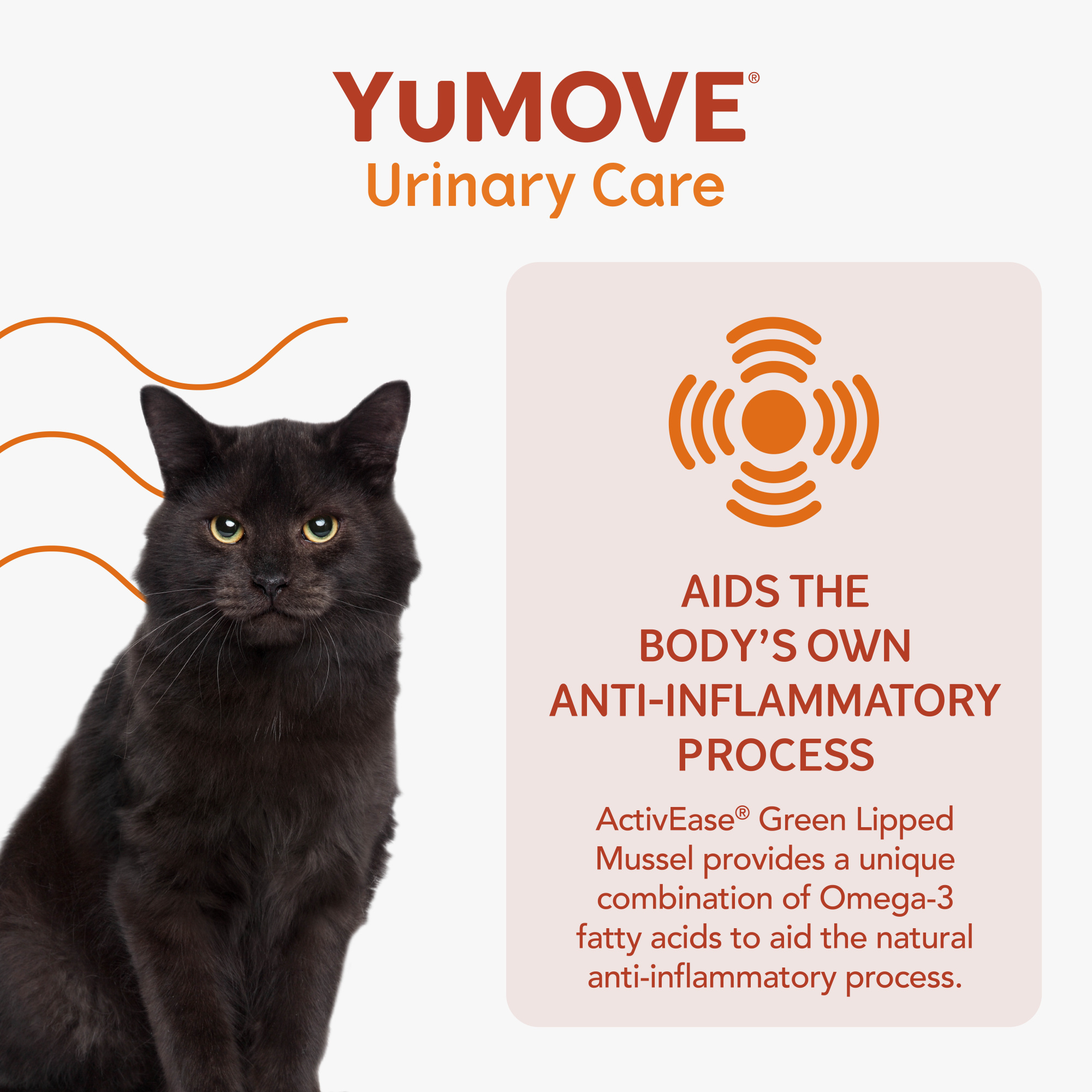 YuMOVE Urinary Care for Cats 30 Capsules