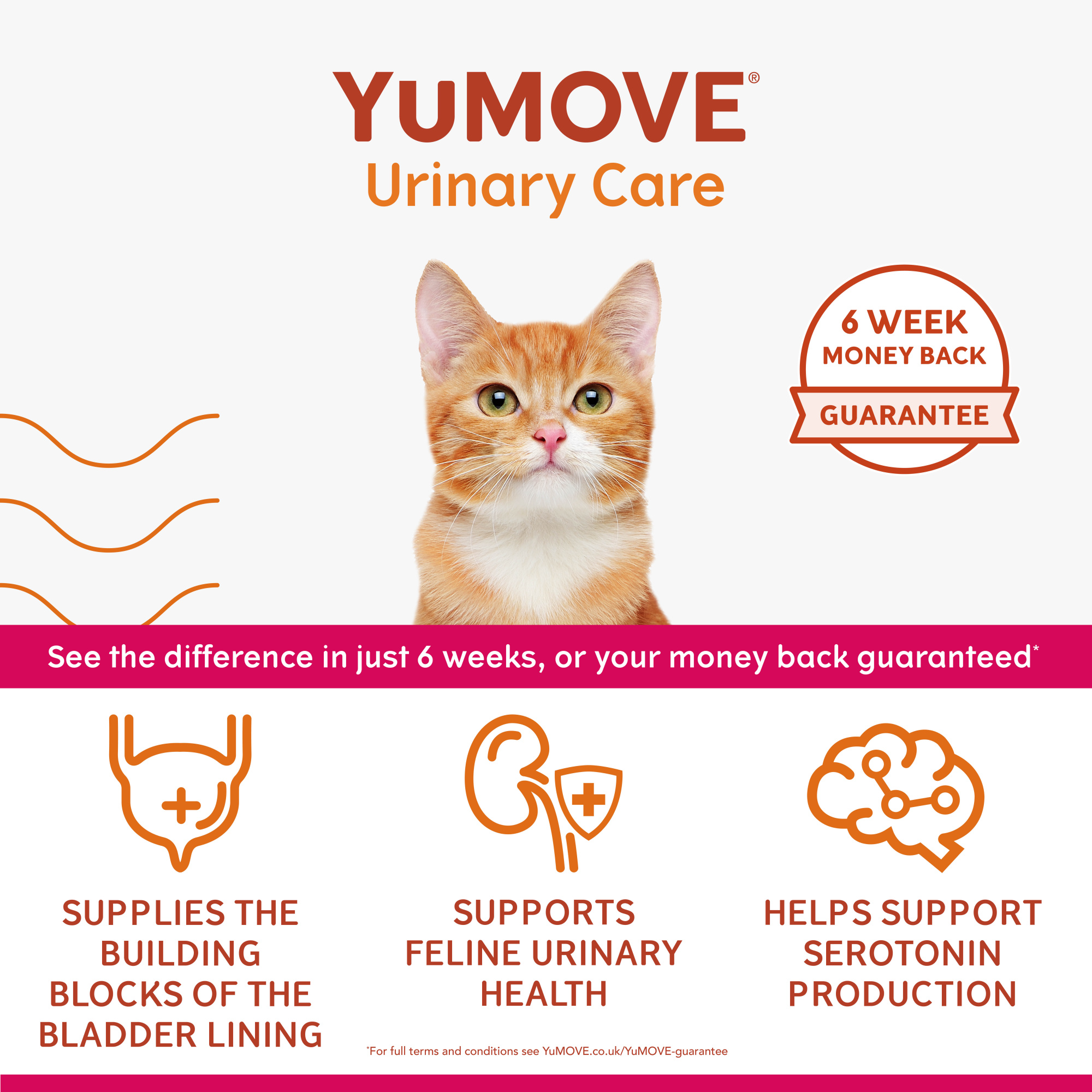 YuMOVE Urinary Care for Cats 30 Capsules