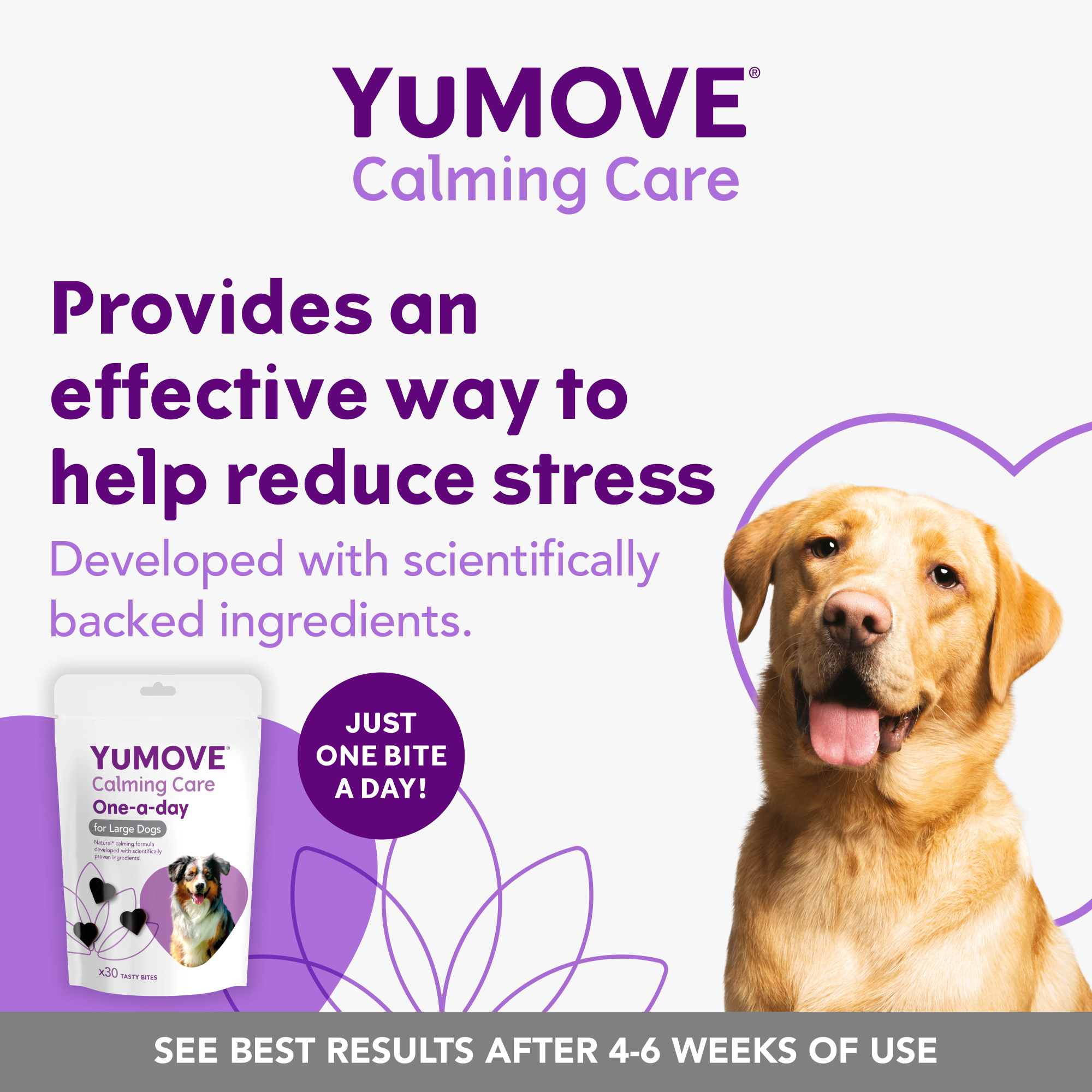 YuMove Calming Care One-a-day for Dogs 