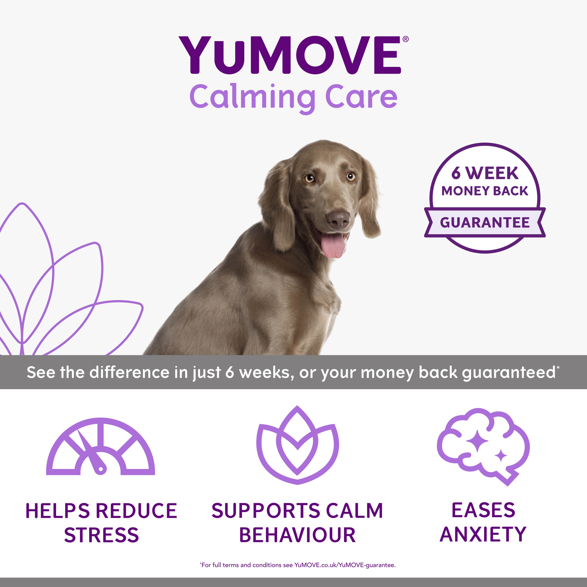 YuMove Calming Care One-a-day for Dogs 