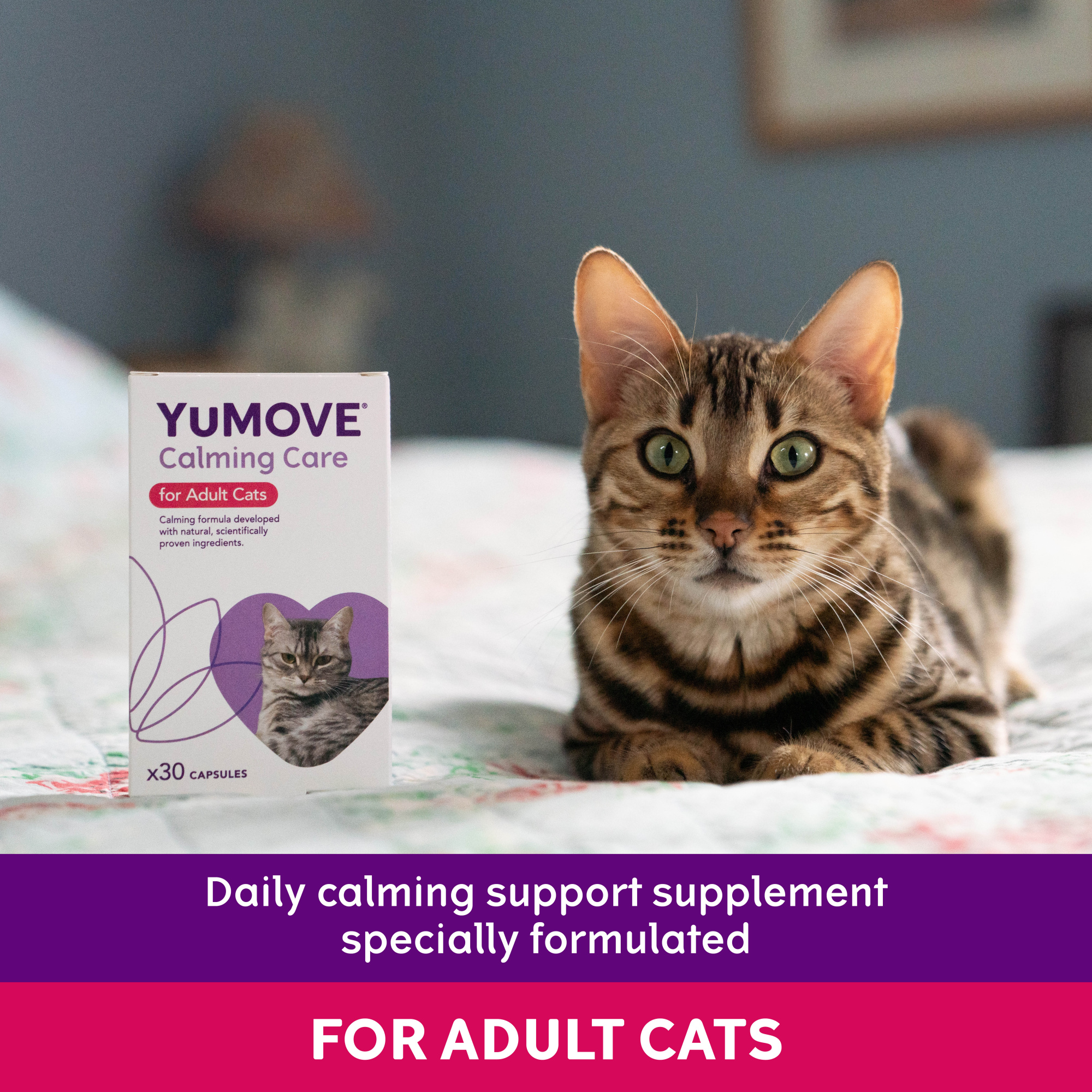 YuMove Calming Care for Cats 