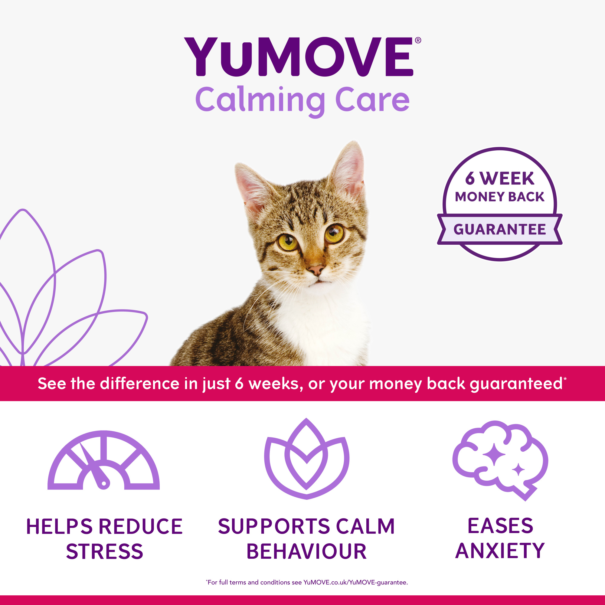 YuMove Calming Care for Cats 