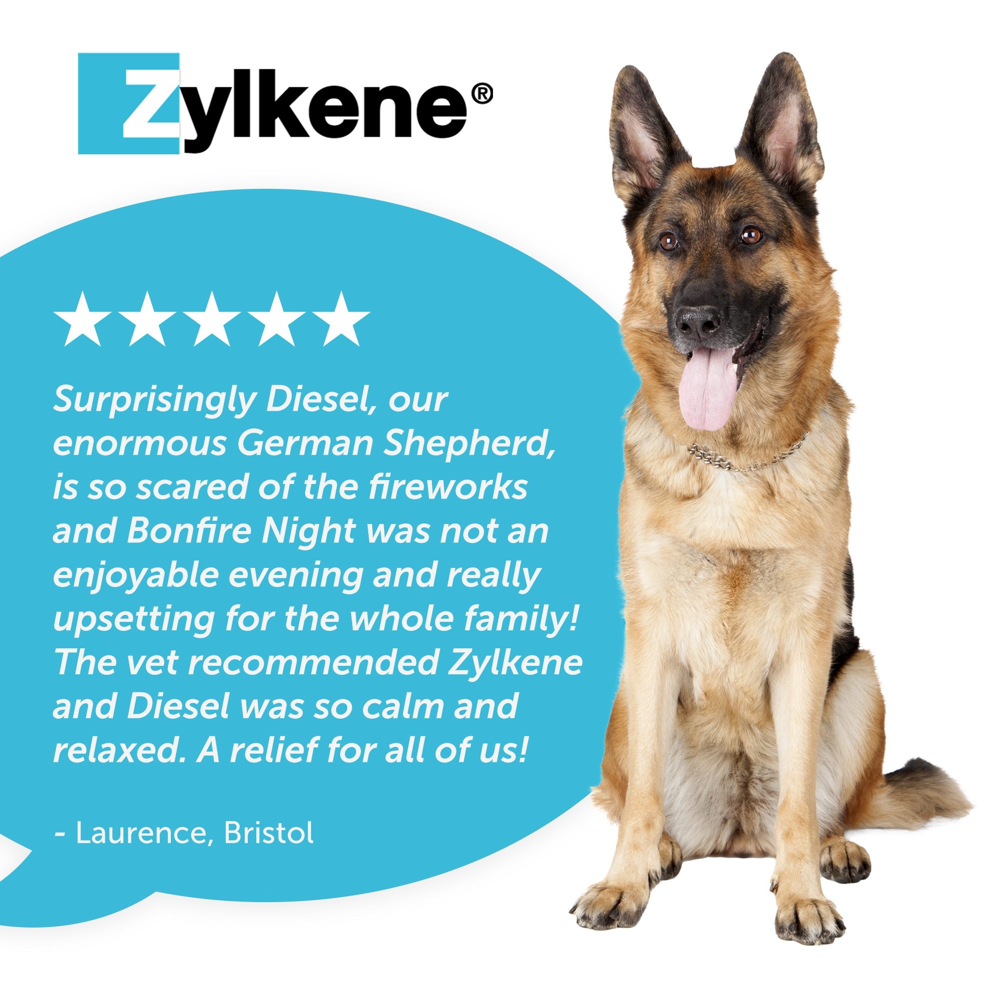 Zylkene Calming Capsules for Cats and Dogs 