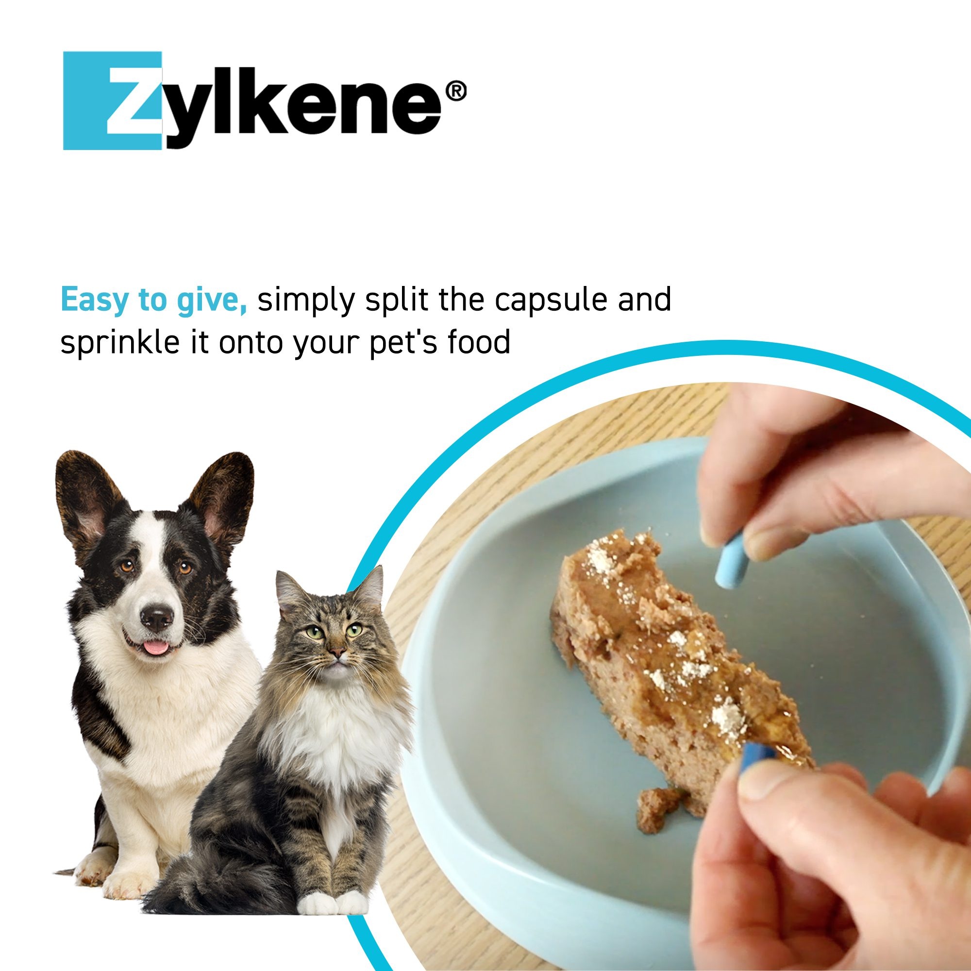 Zylkene Calming Capsules for Cats and Dogs 