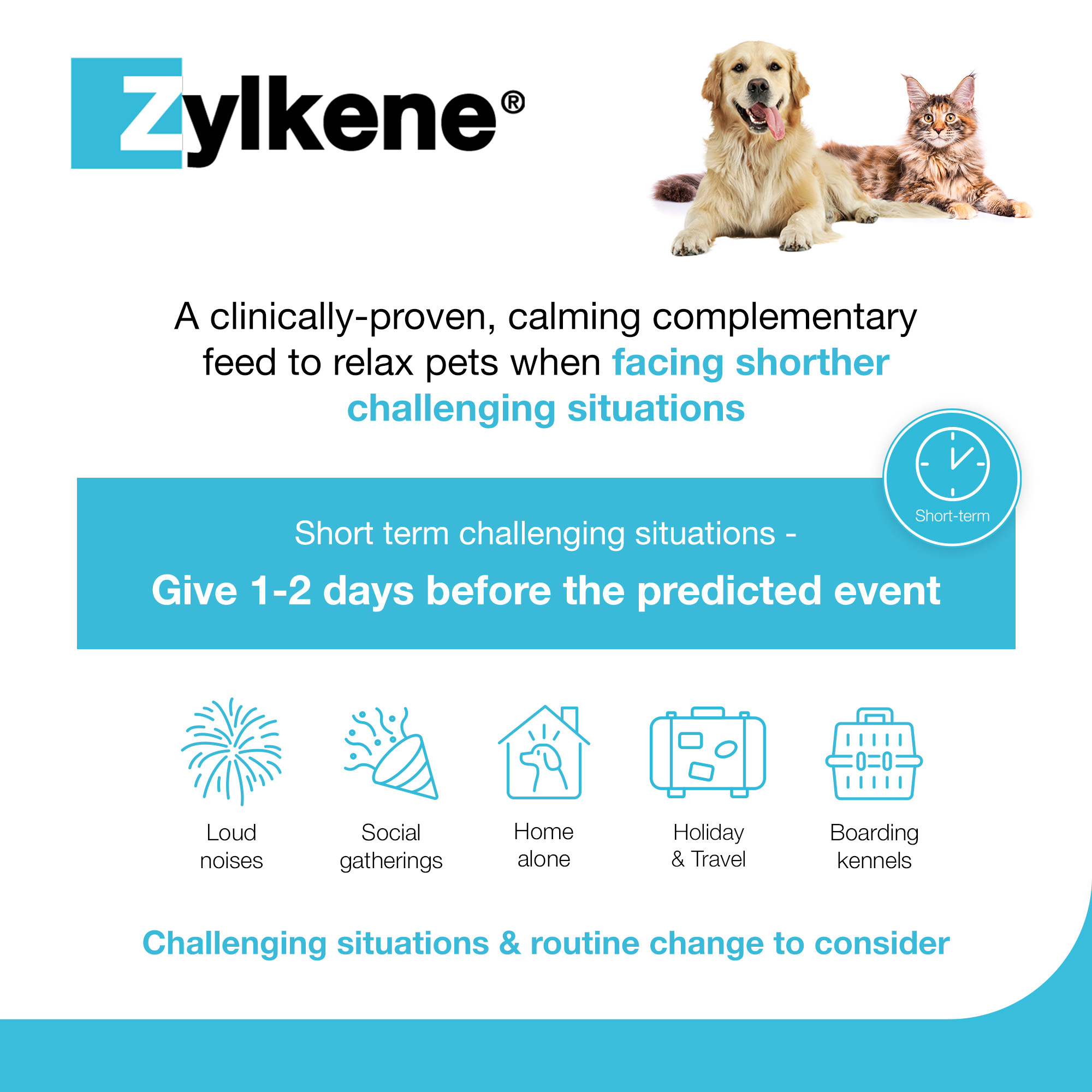 Zylkene Calming Capsules for Cats and Dogs 