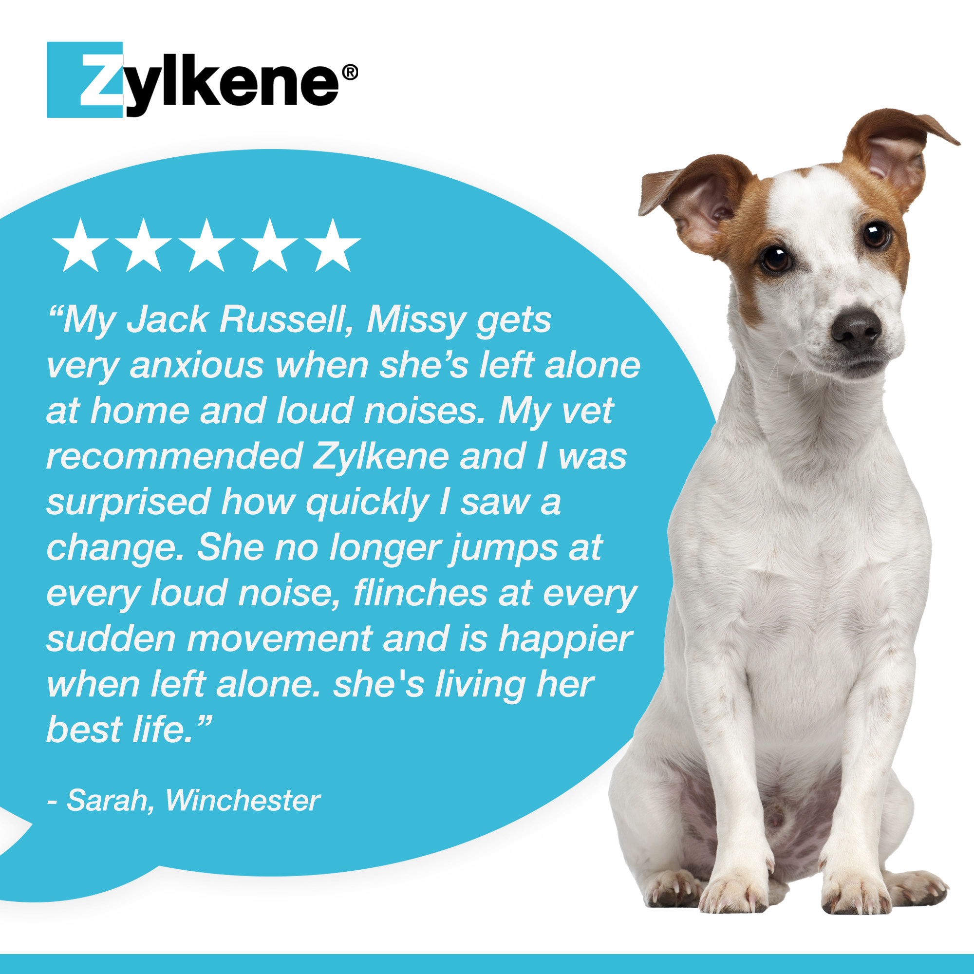 Zylkene Calming Capsules for Cats and Dogs 