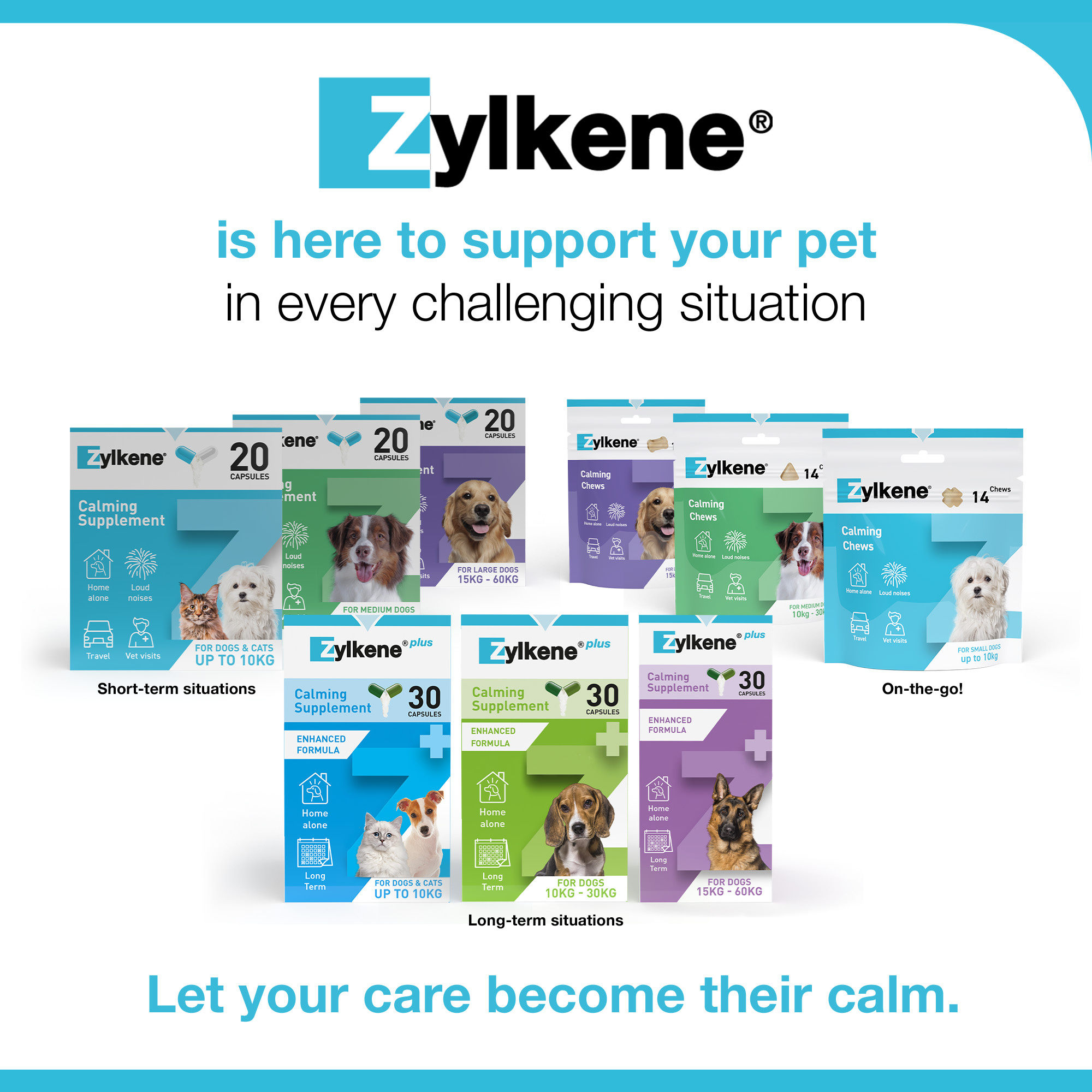 Zylkene Calming Capsules for Cats and Dogs 