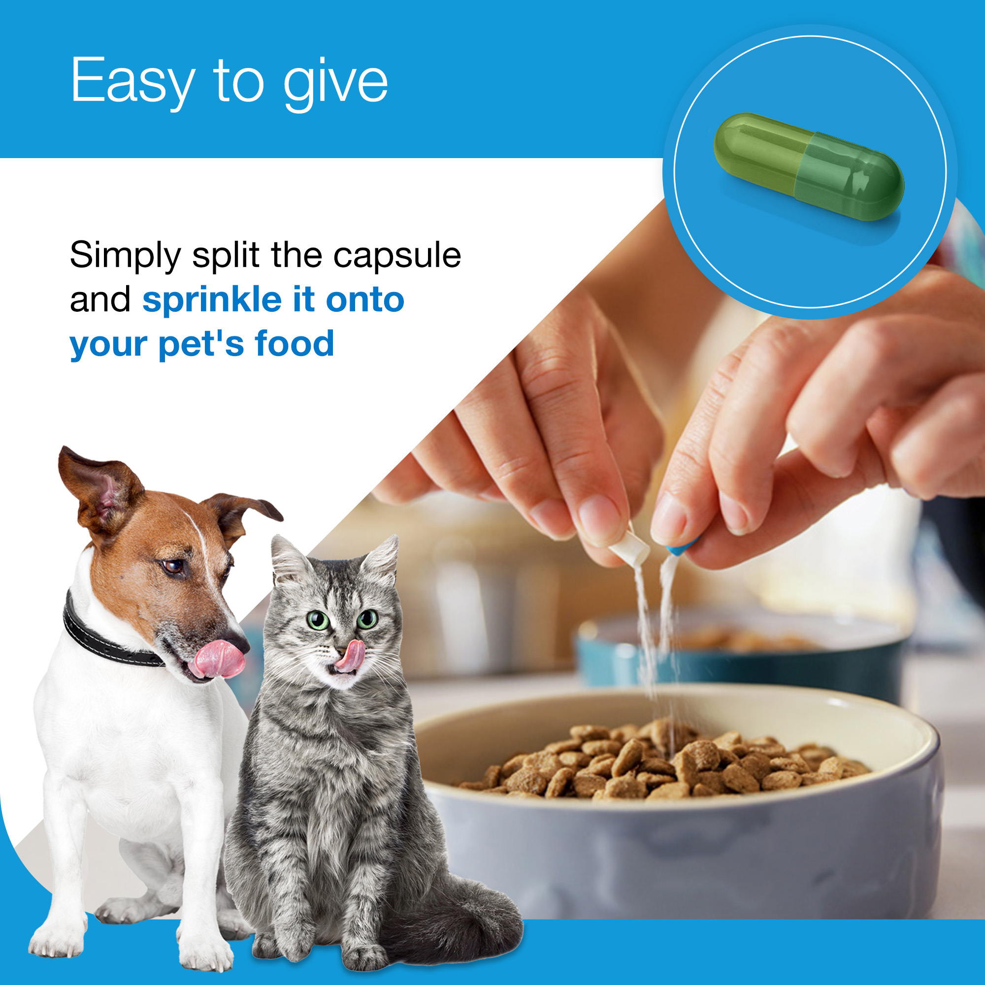 Zylkene Plus Calming Supplement for Cats and Dogs 