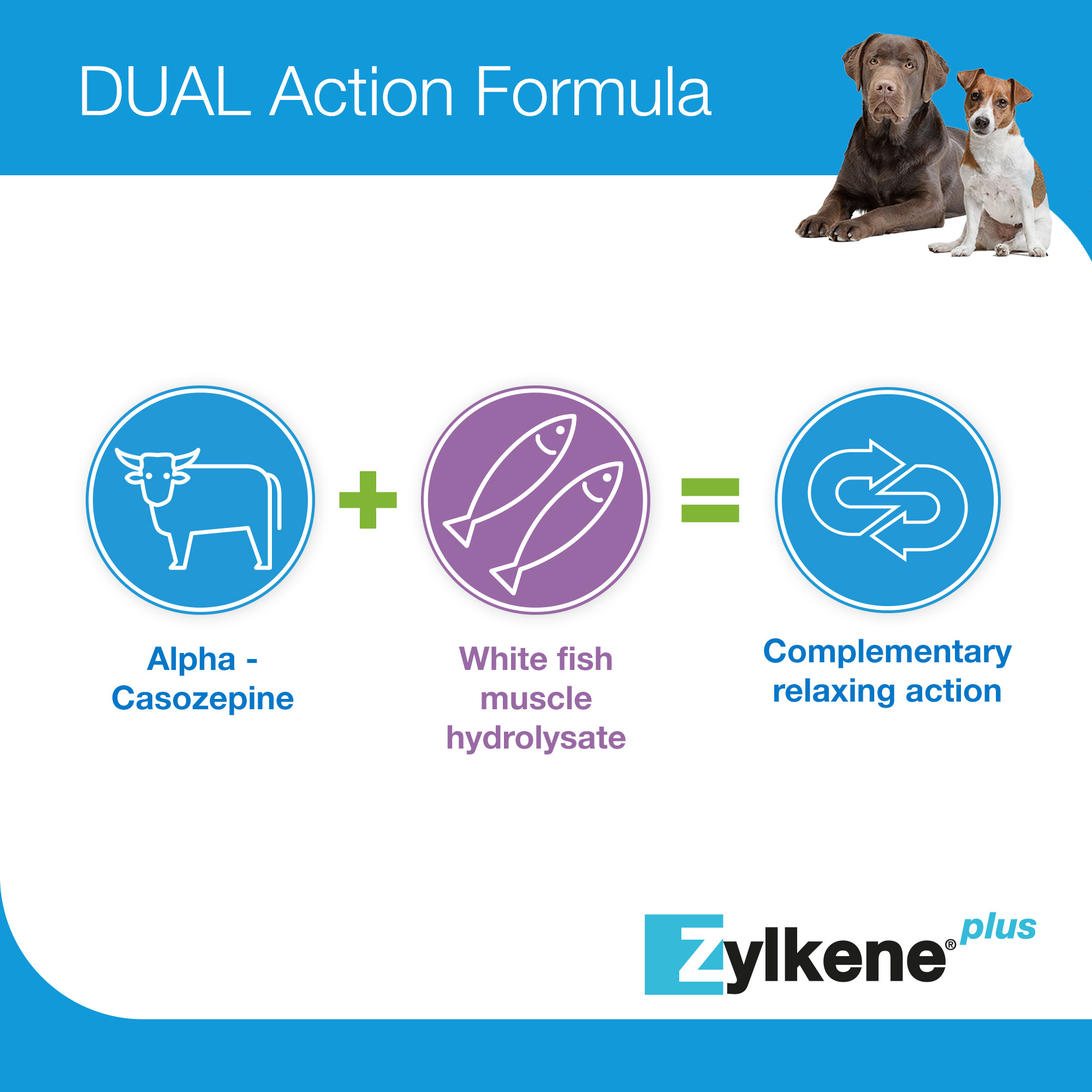 Zylkene Plus Calming Supplement for Cats and Dogs 