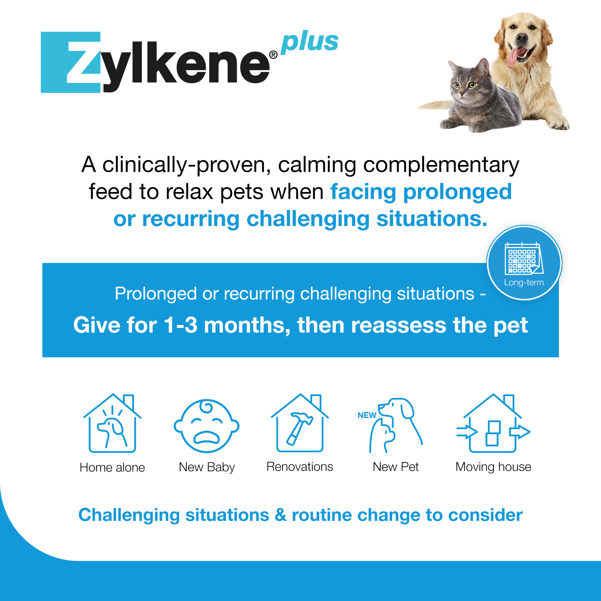 Zylkene Plus Calming Supplement for Cats and Dogs 