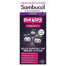Sambucol Black Elderberry Extract For Children